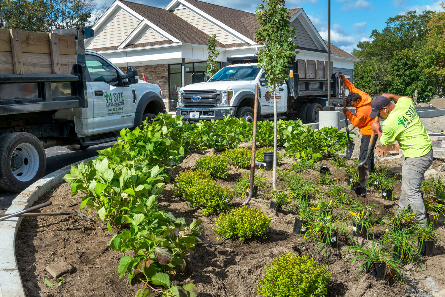 Landscaping Design 4 Site Lawn