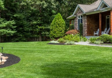 lawn maintenance in RI