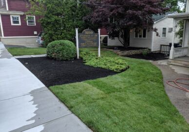 Commercial sod mulch (Large)